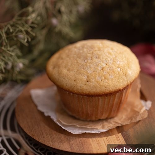 How to Make Muffins with Leftover Milk 7 Delicious milk muffins for breakfast.