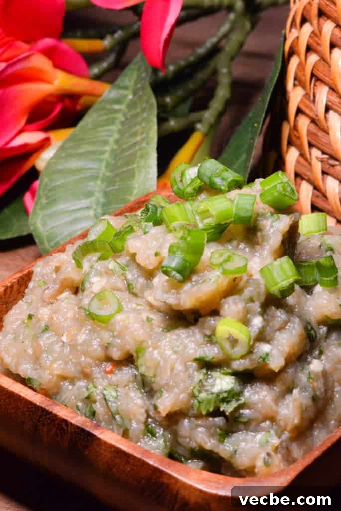 Laos Travel: Our Journey, Highlights and Itinerary 4 Laotian eggplant dip