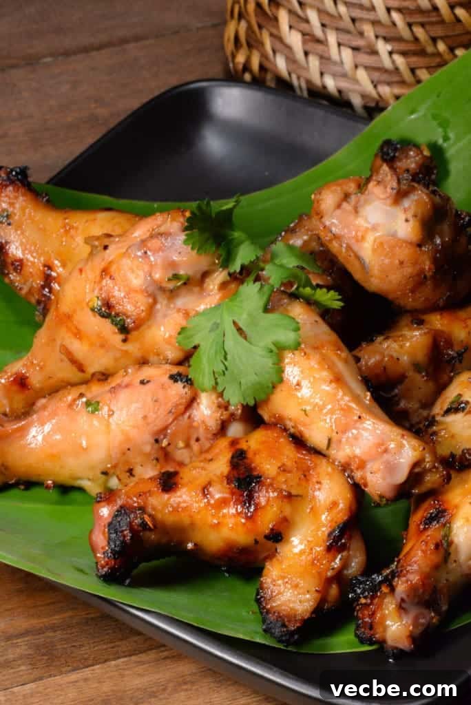 Laos Travel: Our Journey, Highlights and Itinerary 8 Laotian grilled chicken