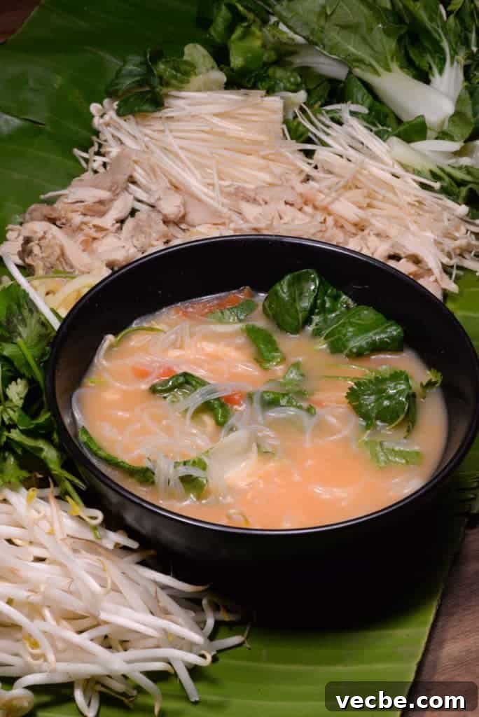 Laos Travel: Our Journey, Highlights and Itinerary 10 Laotian coconut noodle soup