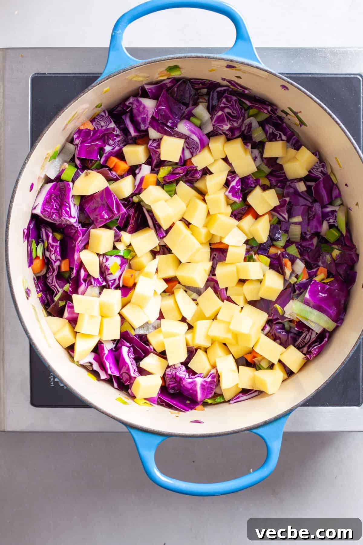 Comforting Red Cabbage Soup Recipe 8 A chopped gold potato added to a hearty red cabbage soup.