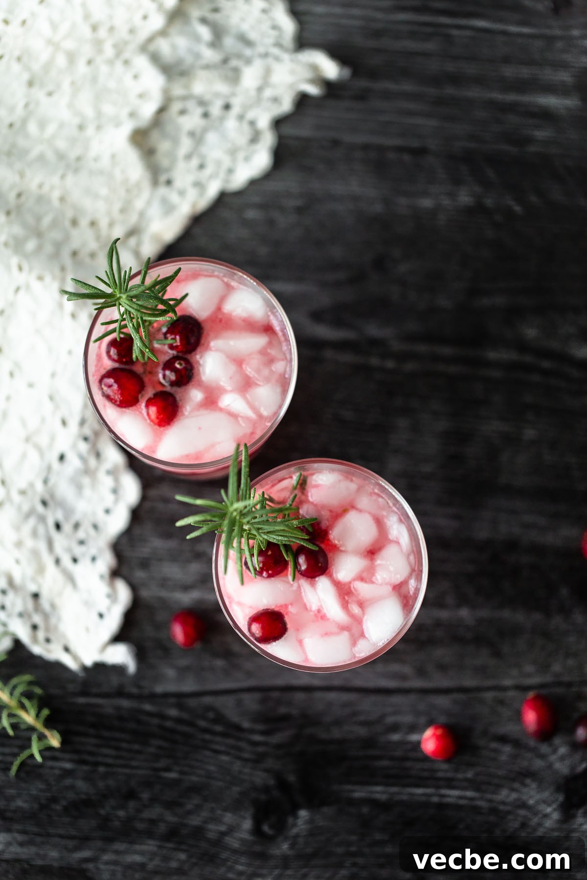 Holiday Mocktail Recipes for Festive Gatherings 3 cranberry fizz mocktail from above