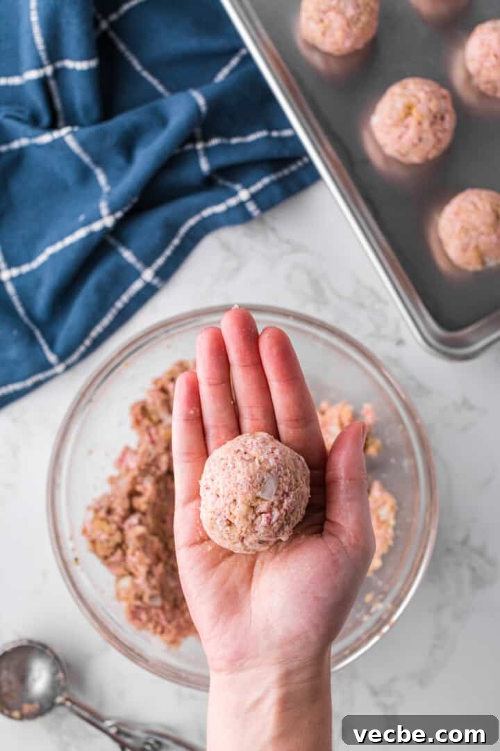 Baked Turkey Meatballs in Marinara Sauce 6 raw turkey meatball rolled into a ball for baking.