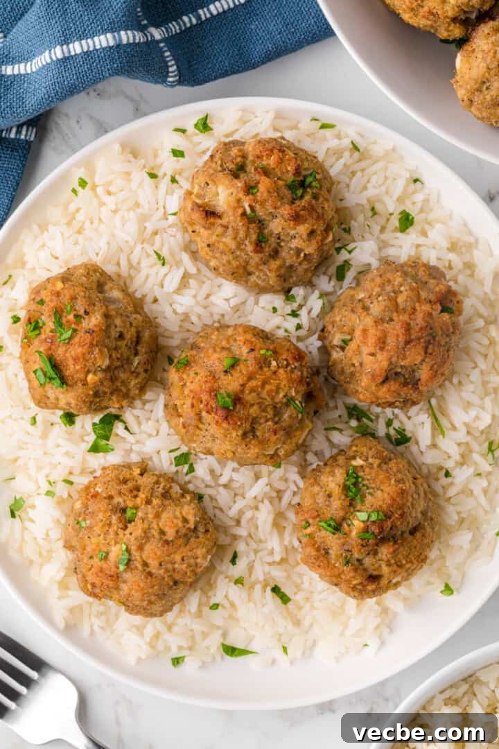Baked Turkey Meatballs in Marinara Sauce 9 Turkey Meatballs on a bed of rice.