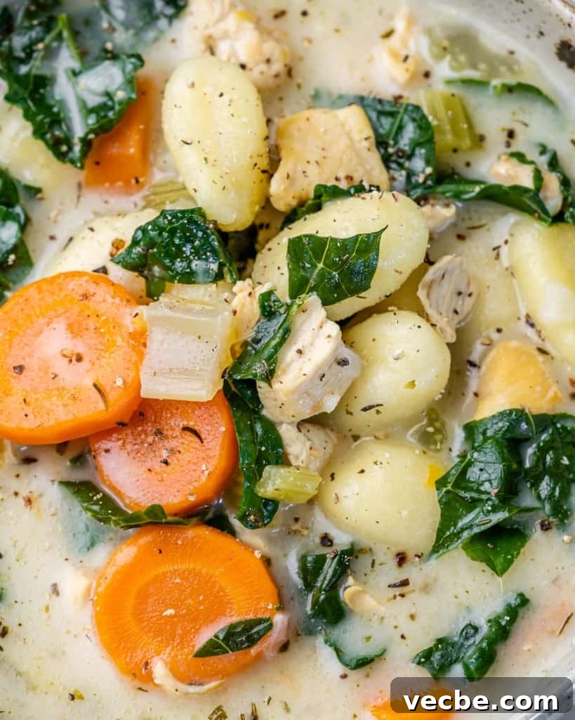 Creamy Chicken Gnocchi Soup Recipe 3 Chicken gnocchi soup with carrots and kale.