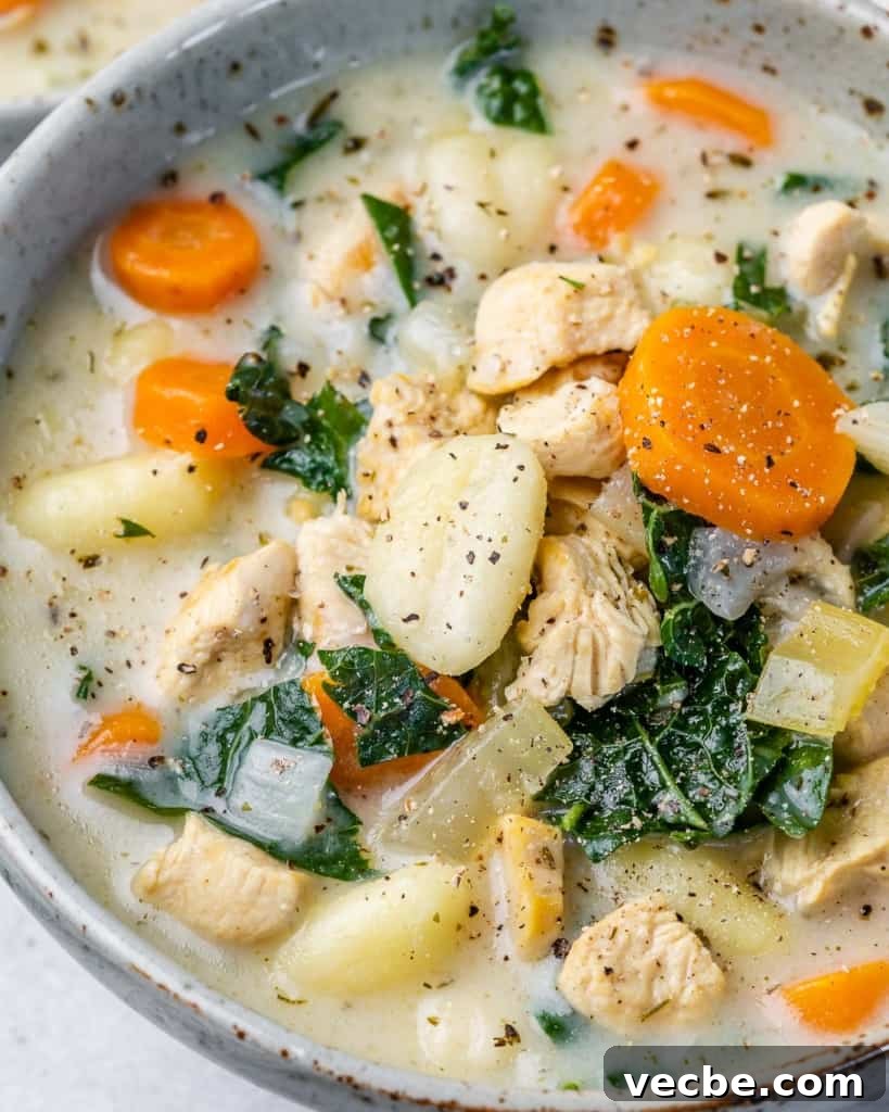 Creamy Chicken Gnocchi Soup Recipe 7 Soup made with vegetables, chicken and gnocchi.
