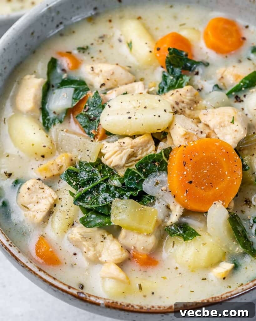 Creamy Chicken Gnocchi Soup Recipe 8 close up view of chicken and veggie soup in a bowl