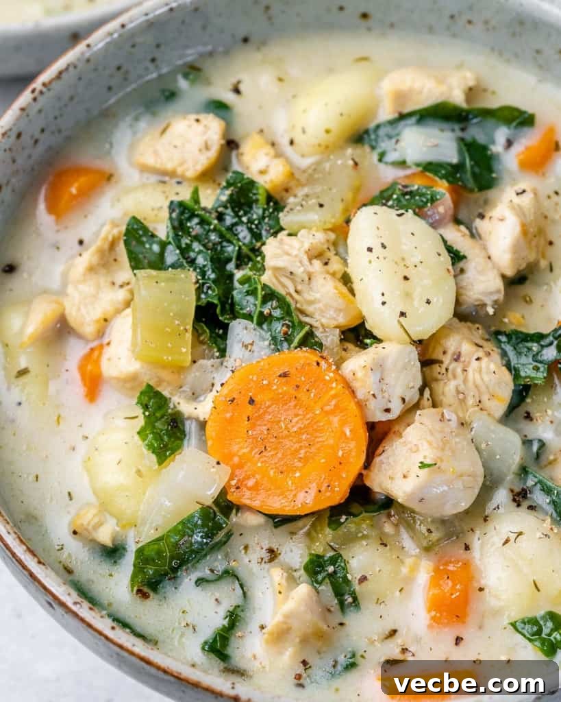 Creamy Chicken Gnocchi Soup Recipe 9 Soup with chicken, gnocchi, carrots and kale.