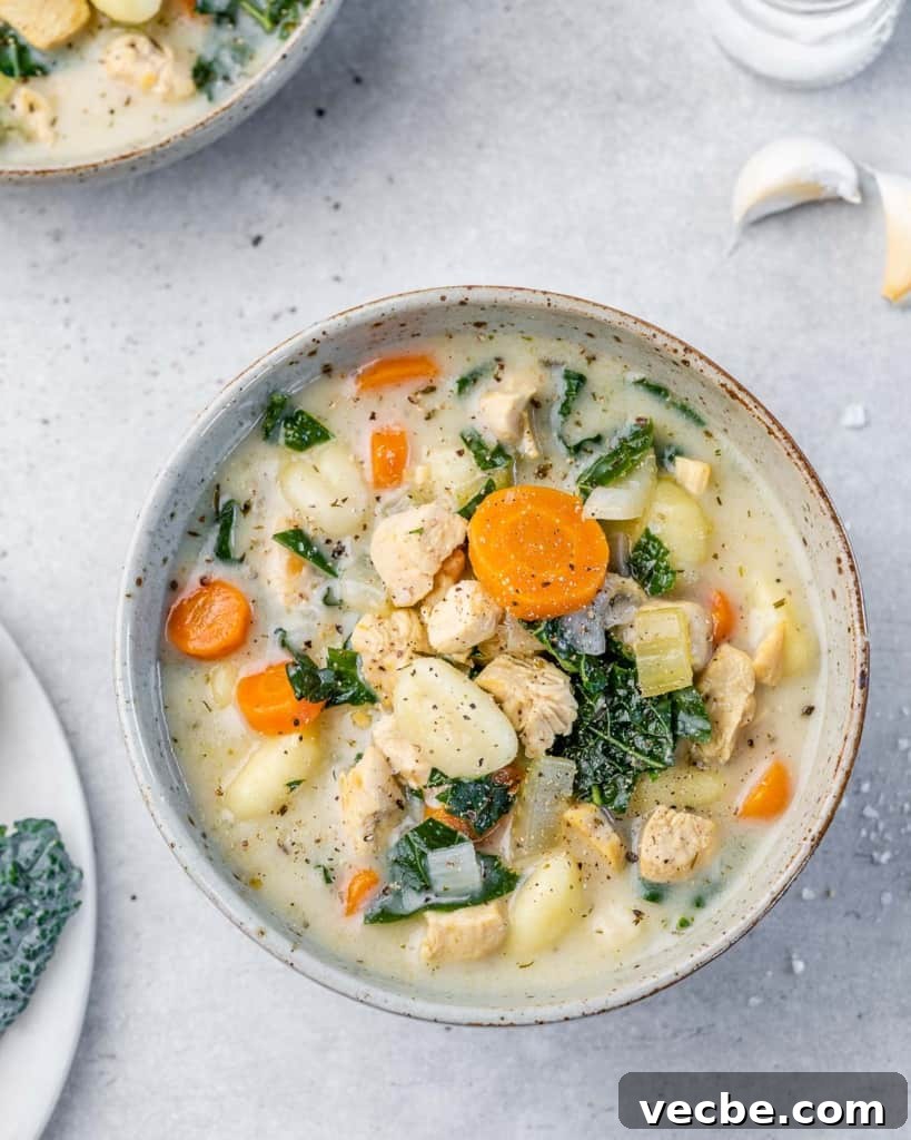Creamy Chicken Gnocchi Soup Recipe 10 top view chicken and gnocchi soup with kale and veggies in a bowl