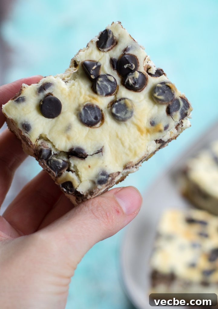 Keto Chocolate Chip Cheesecake Bars — Low-Carb Dessert 3 Keto Chocolate Chip Cheesecake Bars closeup