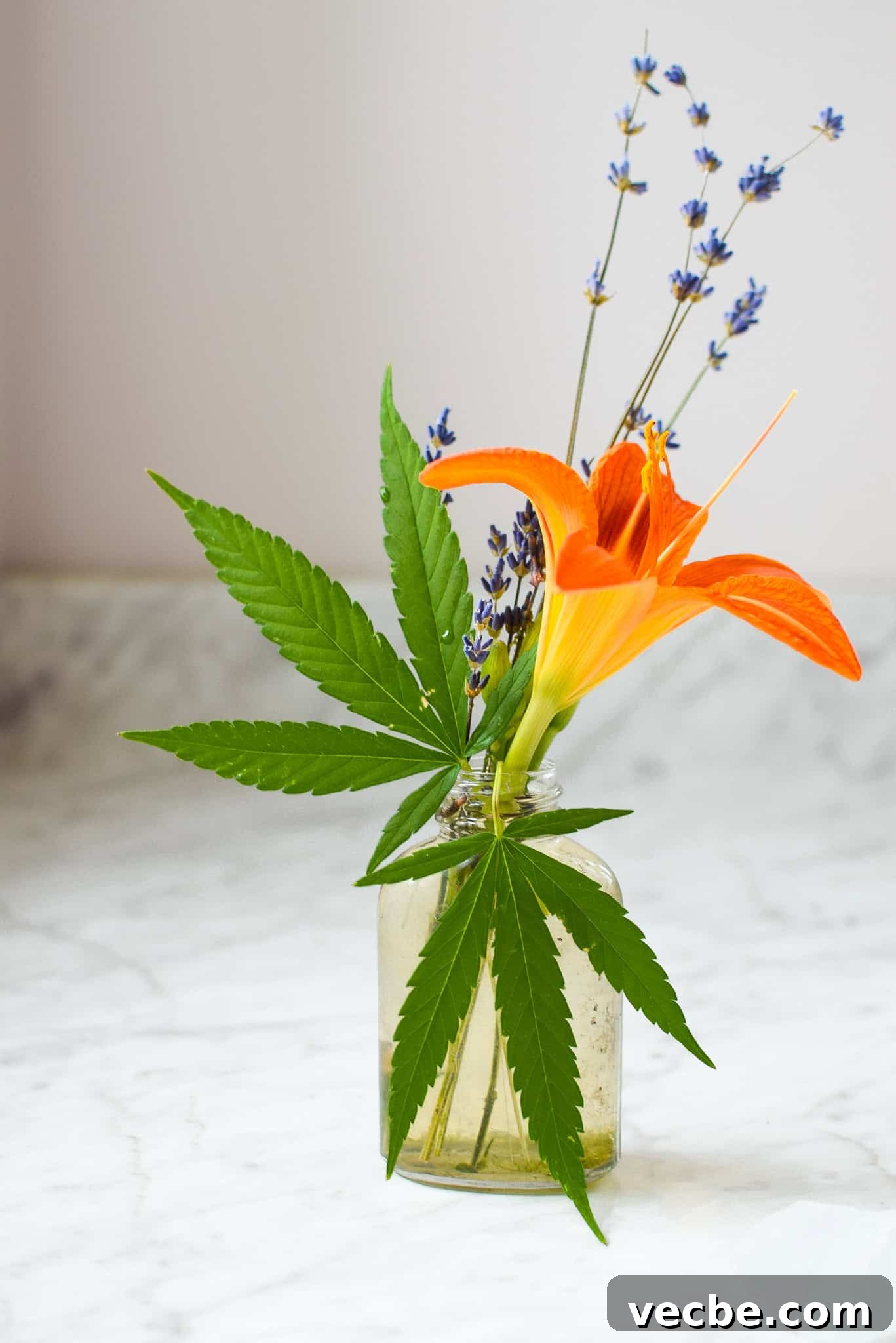 CBN for Sleep: Benefits, Dosage, and Safety 7 Cannabis bouquet.