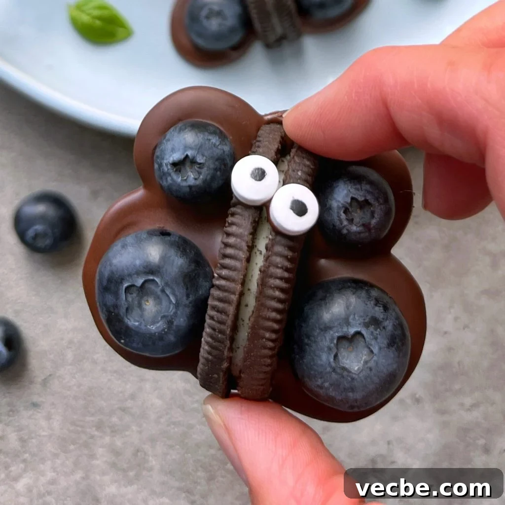 How to Make Chocolate Butterflies for Desserts 2 A hand holds a butterfly-shaped treat made from chocolate and topped with a halved Oreo and two small candy eyes. Blueberries decorate the wings, with a blue plate in the background.
