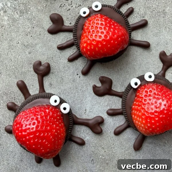 How to Make Chocolate Butterflies for Desserts 6 Three cookies decorated with chocolate legs, candy eyes, and halved strawberries for bodies, arranged on a gray surface.