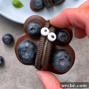 How to Make Chocolate Butterflies for Desserts 8 A hand holds a butterfly-shaped treat made of an Oreo cookie, blueberries, chocolate, and two small candy eyes. More blueberries and a plate are in the background.