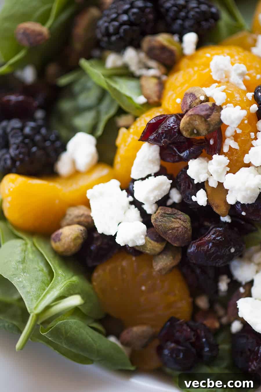 Spinach Salad with Mandarin Oranges and Fresh Berries 3 This citrus berry spinach salad is loaded with ingredients like pistachios, cranberries, goat cheese, oranges and blackberries and it's perfect for a summer salad!