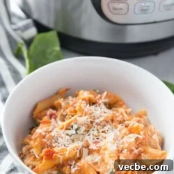 Instant Pot Baked Ziti Recipe 8 Healthy Instant Pot Baked Ziti