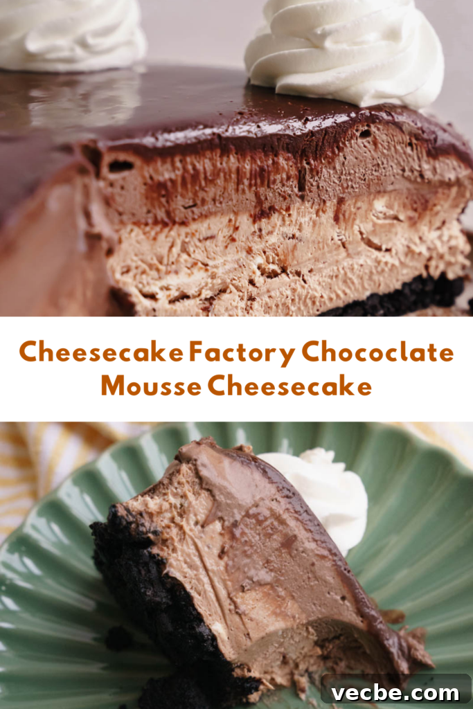 Cheesecake Factory Chocolate Mousse Cheesecake Copycat 13 img 6742 12