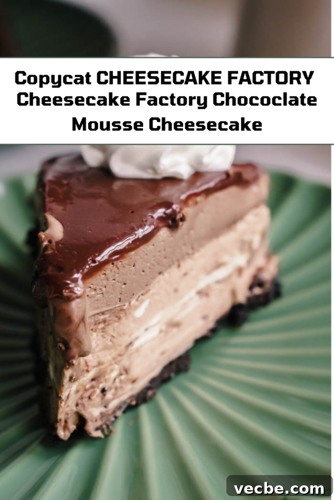 Cheesecake Factory Chocolate Mousse Cheesecake Copycat 15 img 6742 14