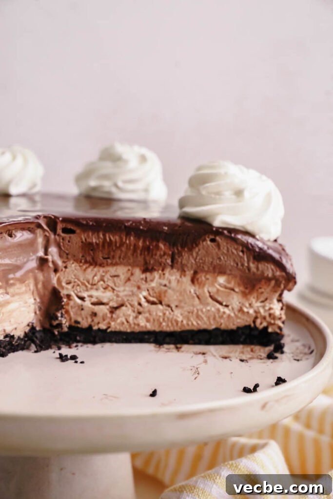 Cheesecake Factory Chocolate Mousse Cheesecake Copycat 3 img 6742 2