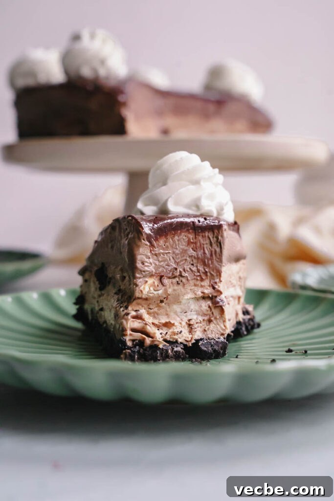 Cheesecake Factory Chocolate Mousse Cheesecake Copycat 4 img 6742 3
