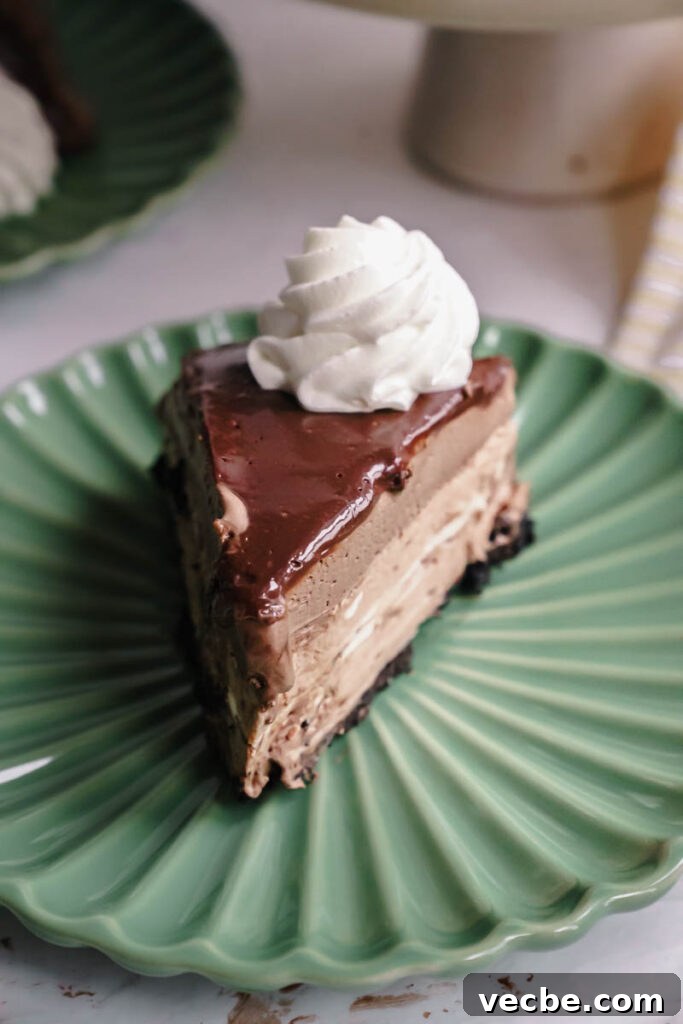 Cheesecake Factory Chocolate Mousse Cheesecake Copycat 5 img 6742 4