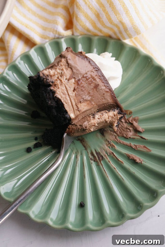 Cheesecake Factory Chocolate Mousse Cheesecake Copycat 6 img 6742 5