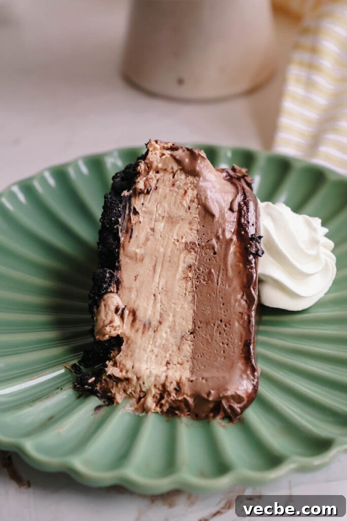 Cheesecake Factory Chocolate Mousse Cheesecake Copycat 7 img 6742 6