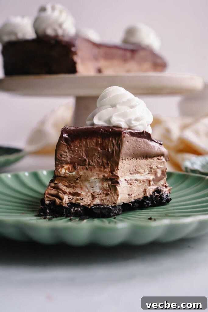 Cheesecake Factory Chocolate Mousse Cheesecake Copycat 8 img 6742 7