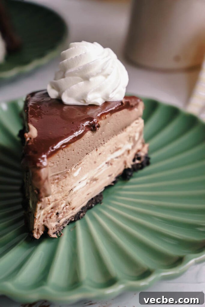 Cheesecake Factory Chocolate Mousse Cheesecake Copycat 10 img 6742 9