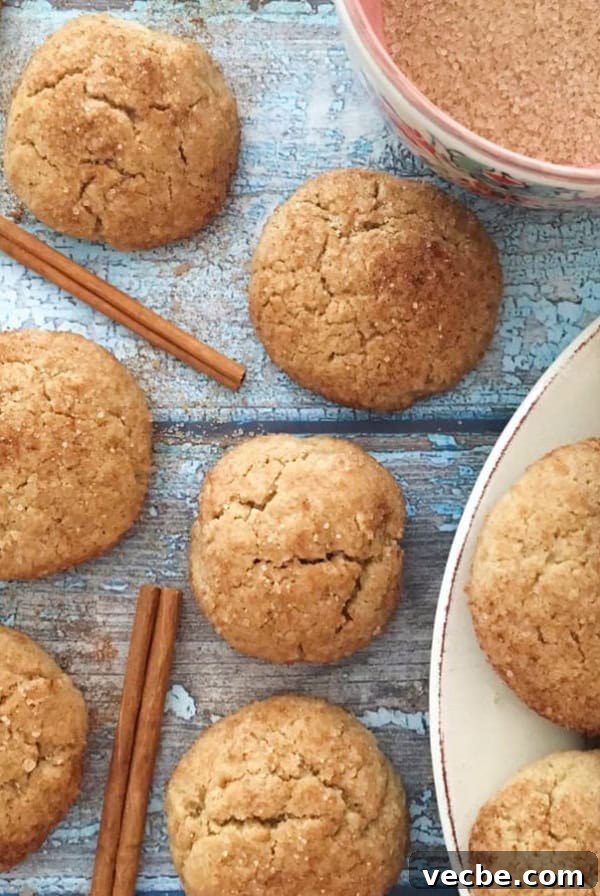 Crispy Rosette Cookies Recipe 9 Snickerdoodles with cinnamon sticks and a bowl of cinnamon sugar