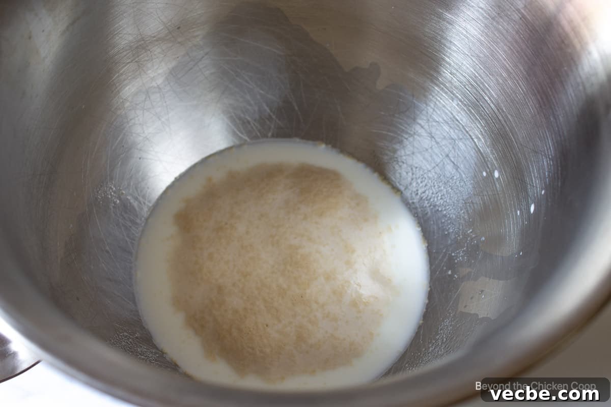 Homemade Raspberry Sweet Rolls Recipe 5 Bubbly yeast in a bowl.
