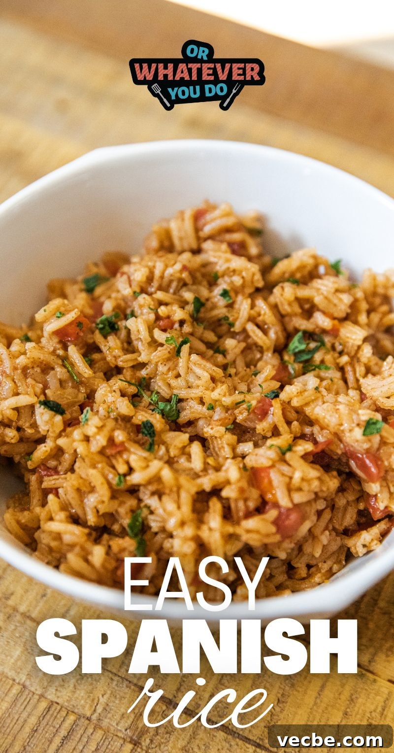 How to Make Authentic Spanish Rice (Arroz Rojo) 2 Spanish Rice