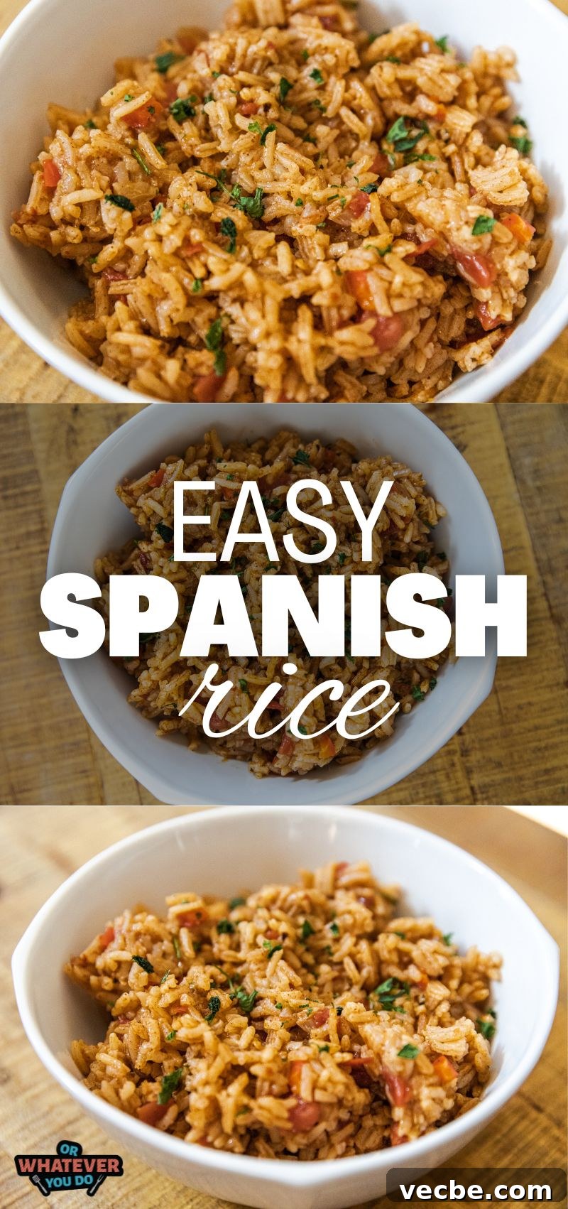 How to Make Authentic Spanish Rice (Arroz Rojo) 6 Spanish Rice
