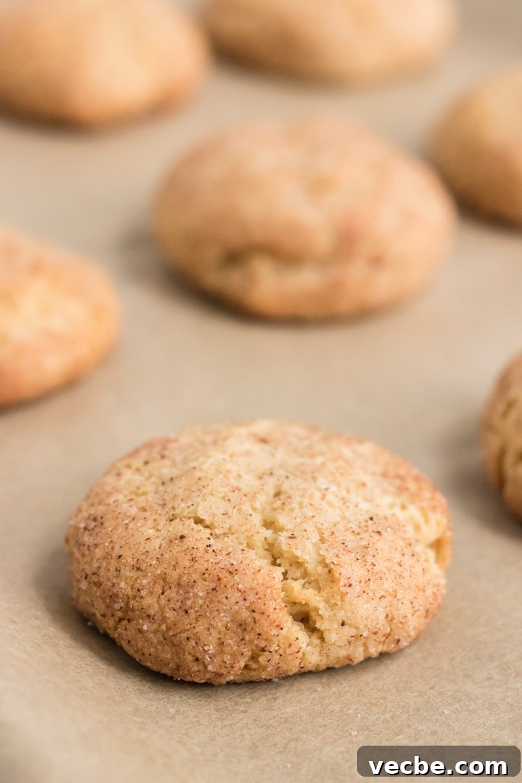Soft Eggnog Cookies with Warm Holiday Spices 11 Eggnog cookies baked on a baking tray.