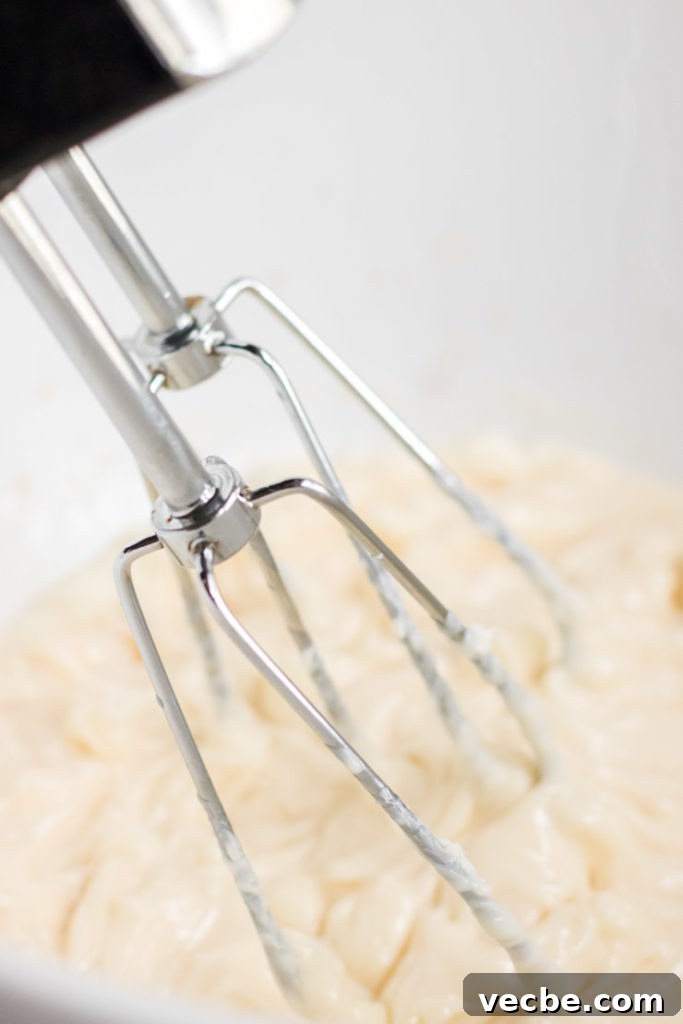 Soft Eggnog Cookies with Warm Holiday Spices 6 Mixing dry ingredients for eggnog cookies.