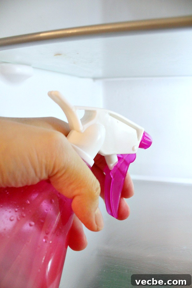 DIY Fridge Odor Spray: Freshen Your Refrigerator Naturally 2 Homemade fridge odor remover spray