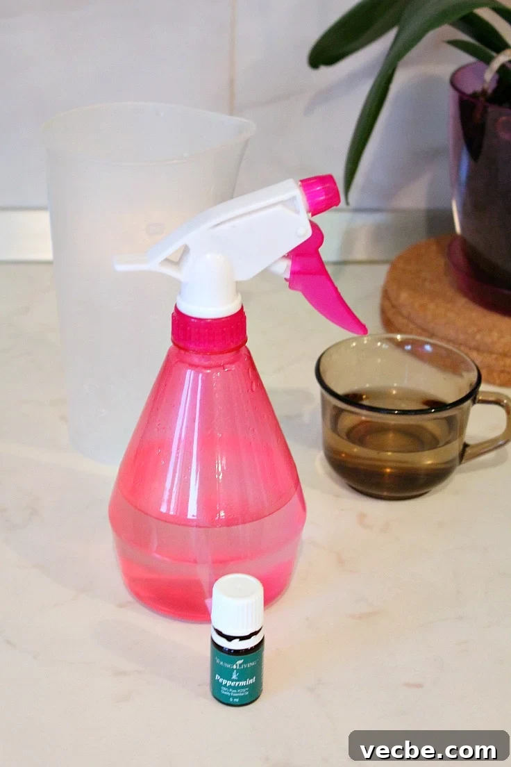 DIY Fridge Odor Spray: Freshen Your Refrigerator Naturally 3 Homemade fridge odor remover spray