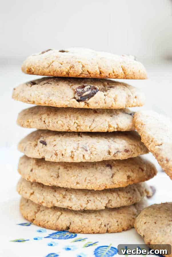 Paleo Oatmeal Cookies