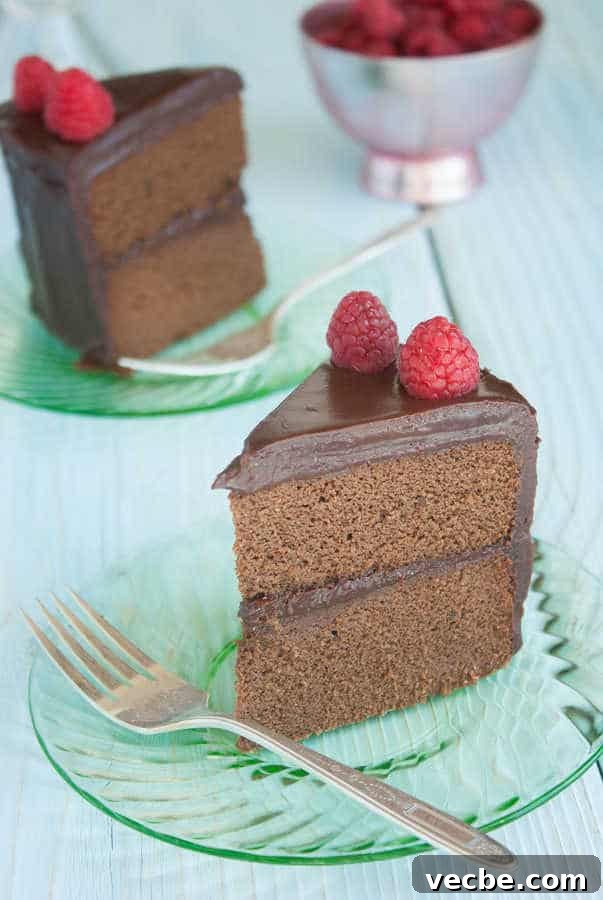 Paleo Chocolate Cake