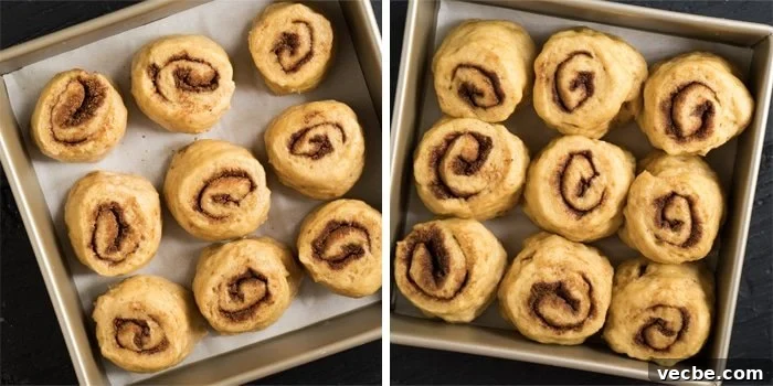 Fluffy Paleo and Keto Cinnamon Rolls Recipe with Yeast 4 Comparison of keto cinnamon rolls before and after rise