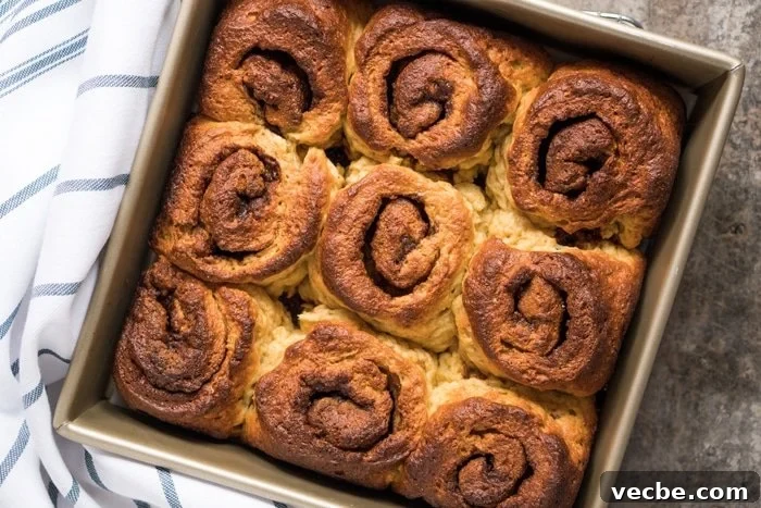 Fluffy Paleo and Keto Cinnamon Rolls Recipe with Yeast 5 Freshly baked gluten free & keto cinnamon rolls without glaze