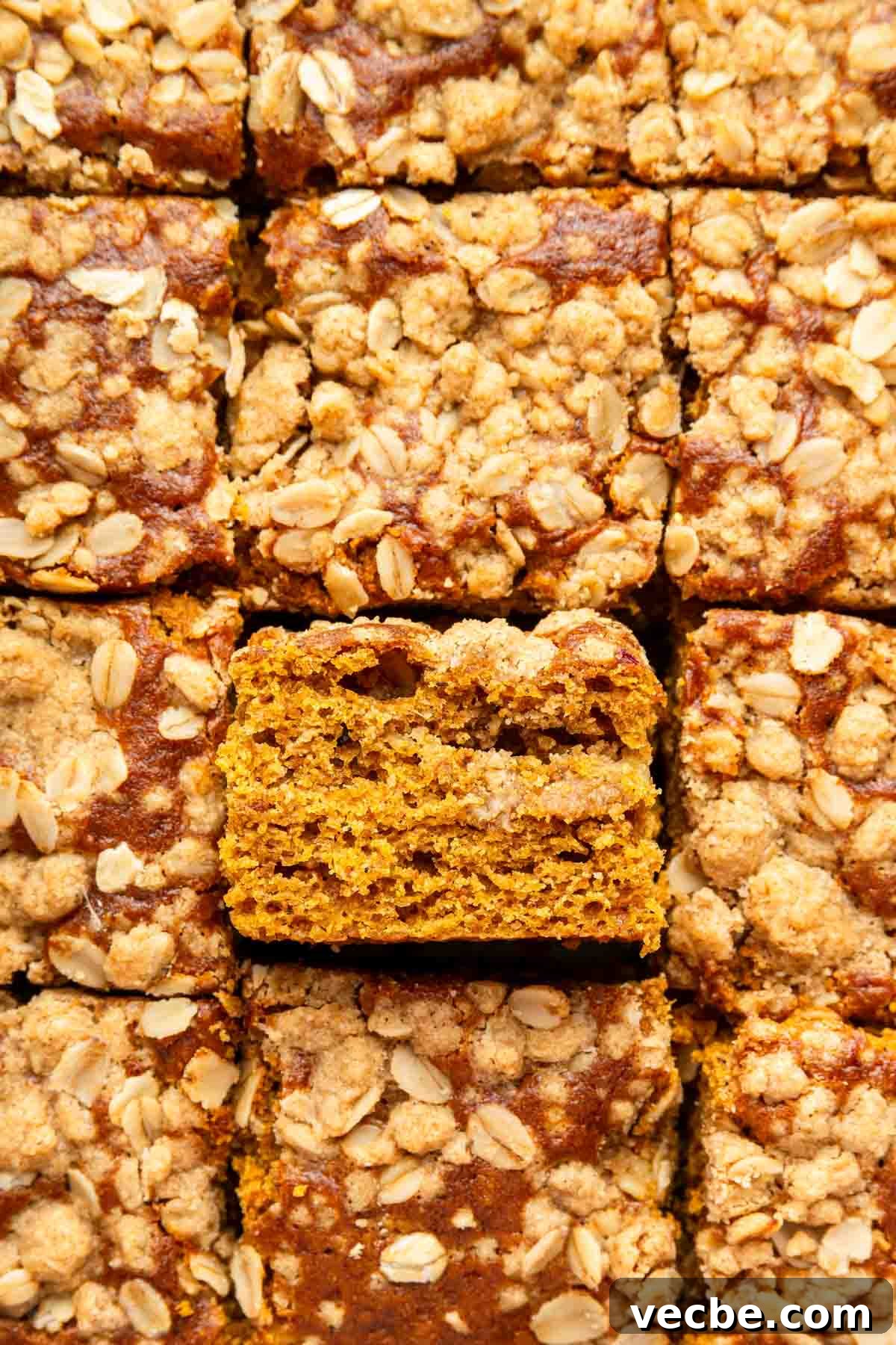 Pumpkin Coffee Cake Recipe with Cinnamon Streusel 8 Macro image of pumpkin cake with one slice turned up to show inside crumb.