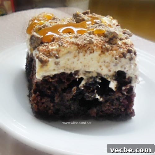 Double Chocolate Toffee Poke Cake close-up Double Chocolate Toffee Poke Cake close-up