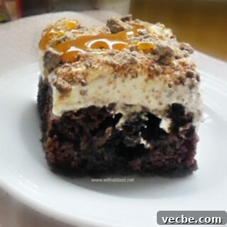 Double Chocolate Toffee Poke Cake Recipe 2 Double Chocolate Toffee Poke Cake - plated