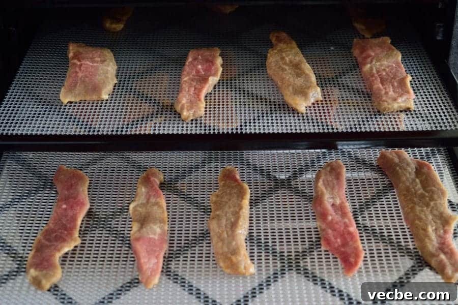 Tropical Island Beef Jerky Recipe 4 Tropical Island Beef Jerky drying in a dehydrator