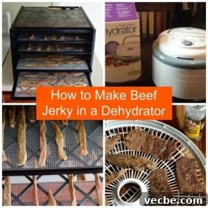 Tropical Island Beef Jerky Recipe 6 Learn how to make beef jerky in a dehydrator