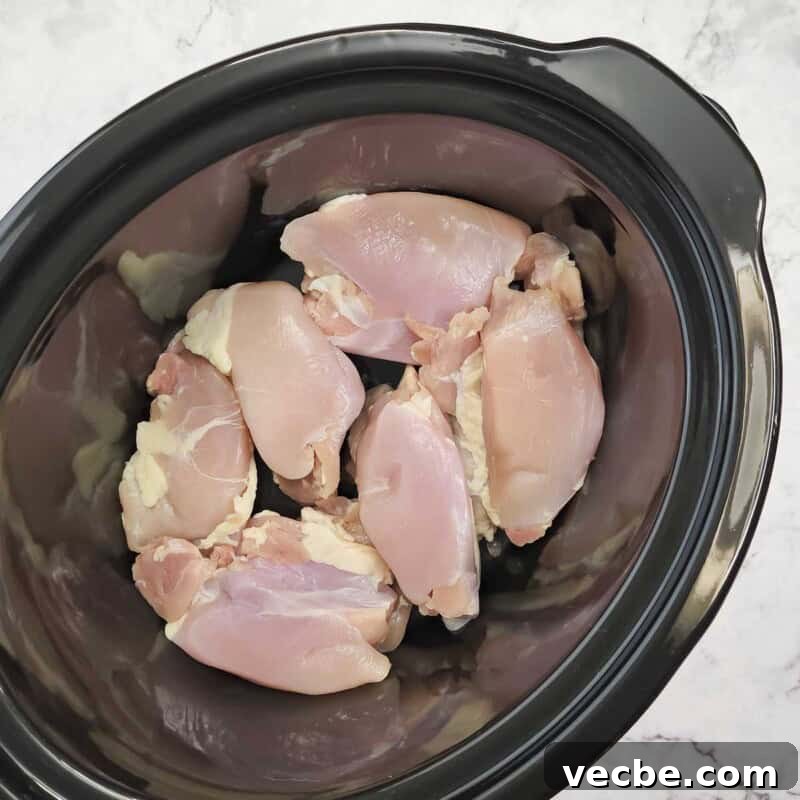 Creamy Slow Cooker Chicken and Biscuits 6 Overhead view of process shot 3 - place the chicken in the slow cooker.