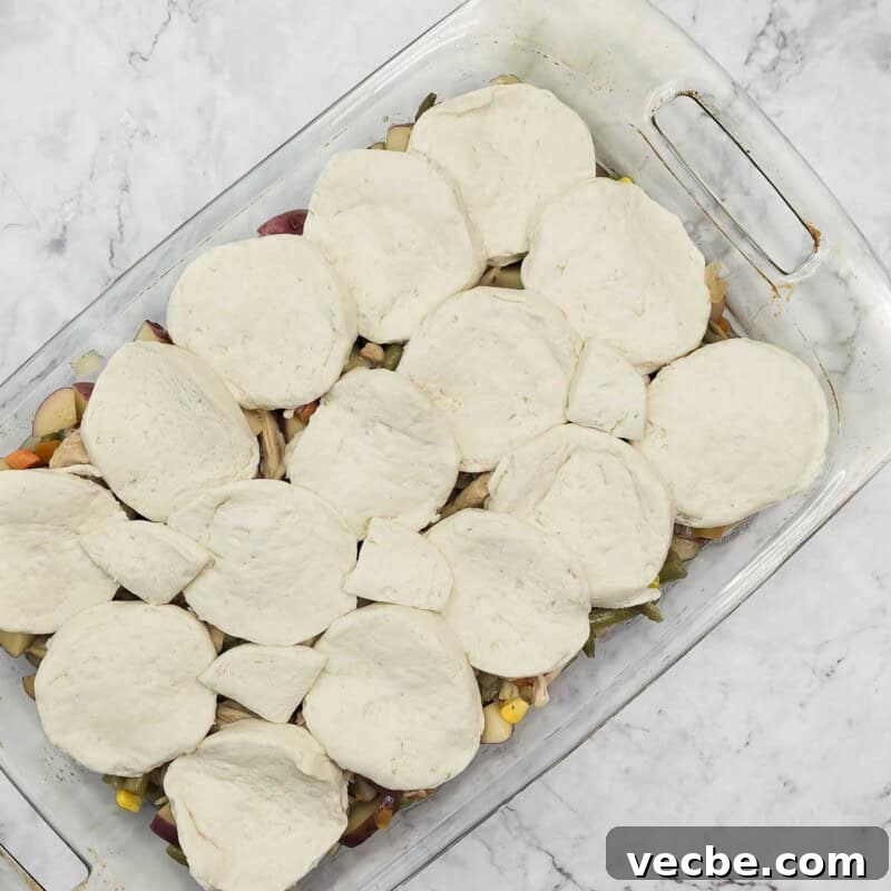 Creamy Slow Cooker Chicken and Biscuits 9 Overhead view of process shot 6 - cut each round biscuit in half from side to side to form two thinner rounds, and place on top of the chicken and veggies, touching each other.