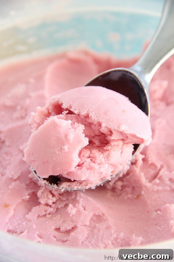 Raspberry Sherbet Recipe 3 Raspberry Sherbet