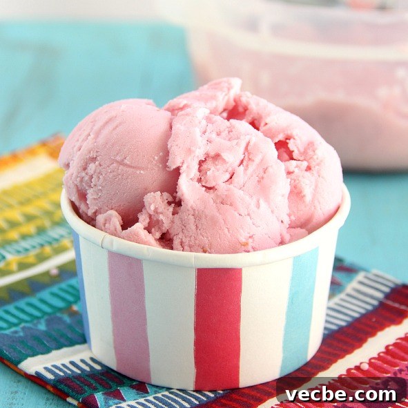 Raspberry Sherbet